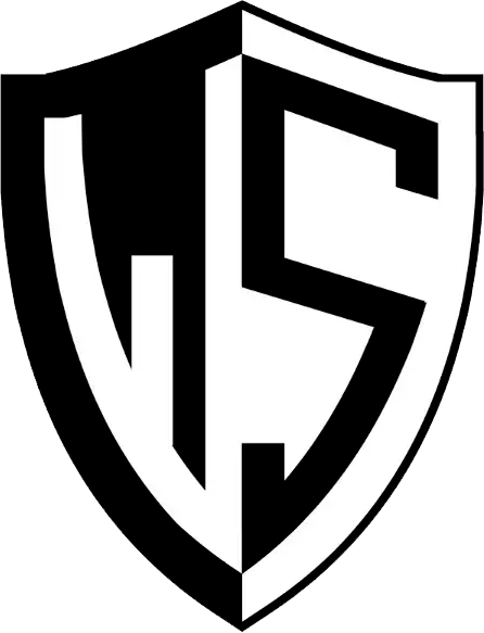 Wellsys Security